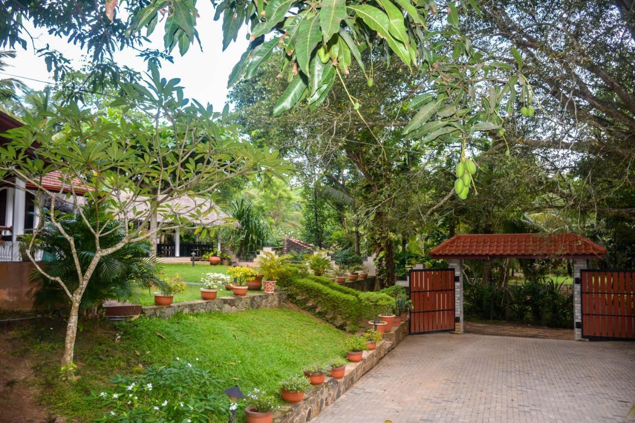 Goyambokka Hotel Tangalle